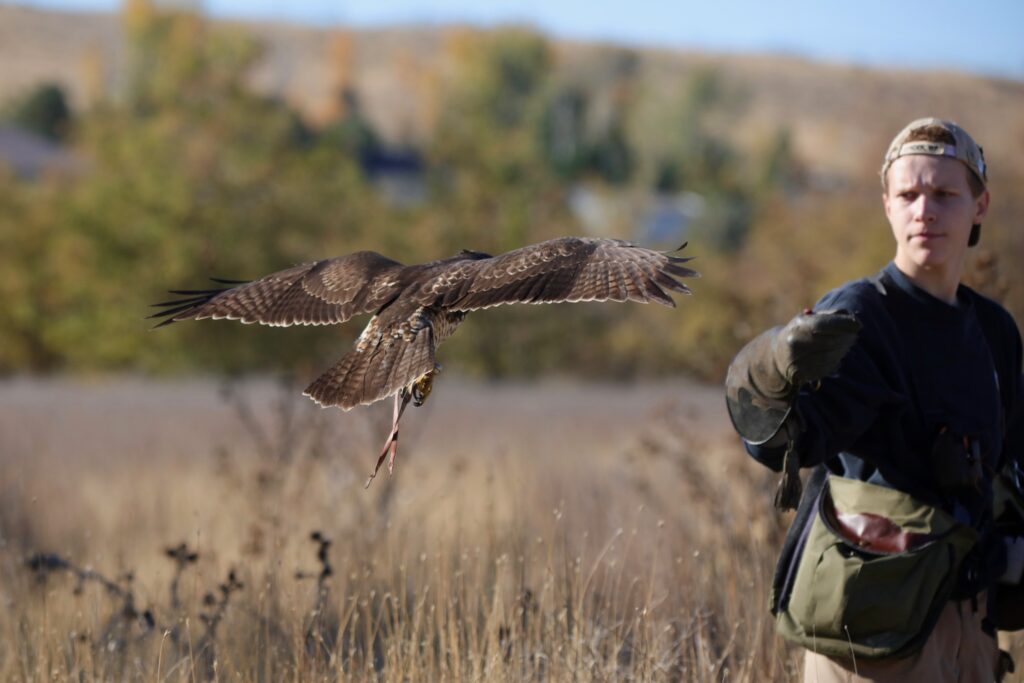 Cole Serad and his hawk in Oregon